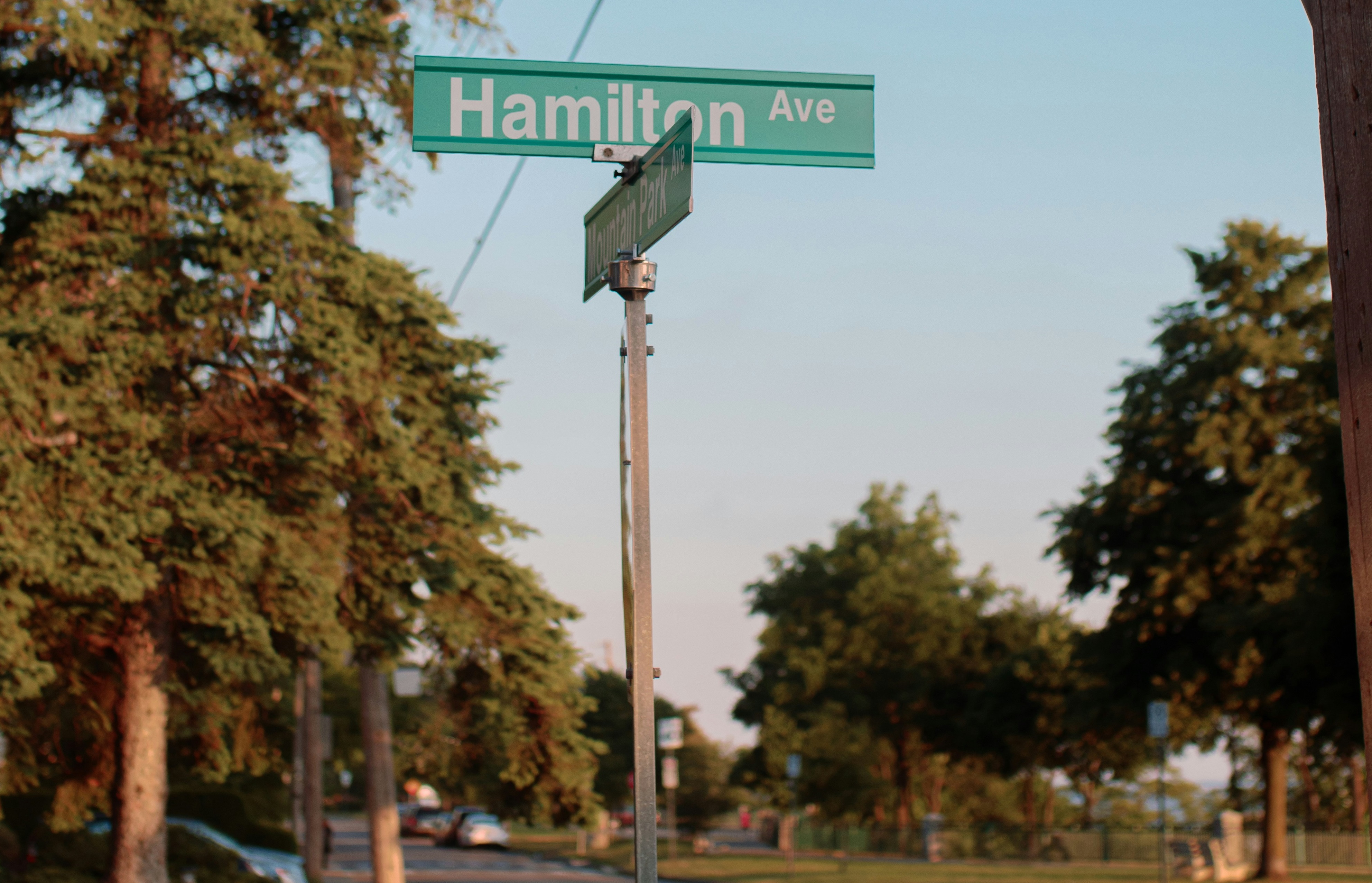 Hamilton Ave Street Sign